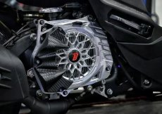 画像1: 🐐【BAPHOMET】バフォメット アルミラジエーターカバー　グリファス対応　圧倒的存在感！ (1)