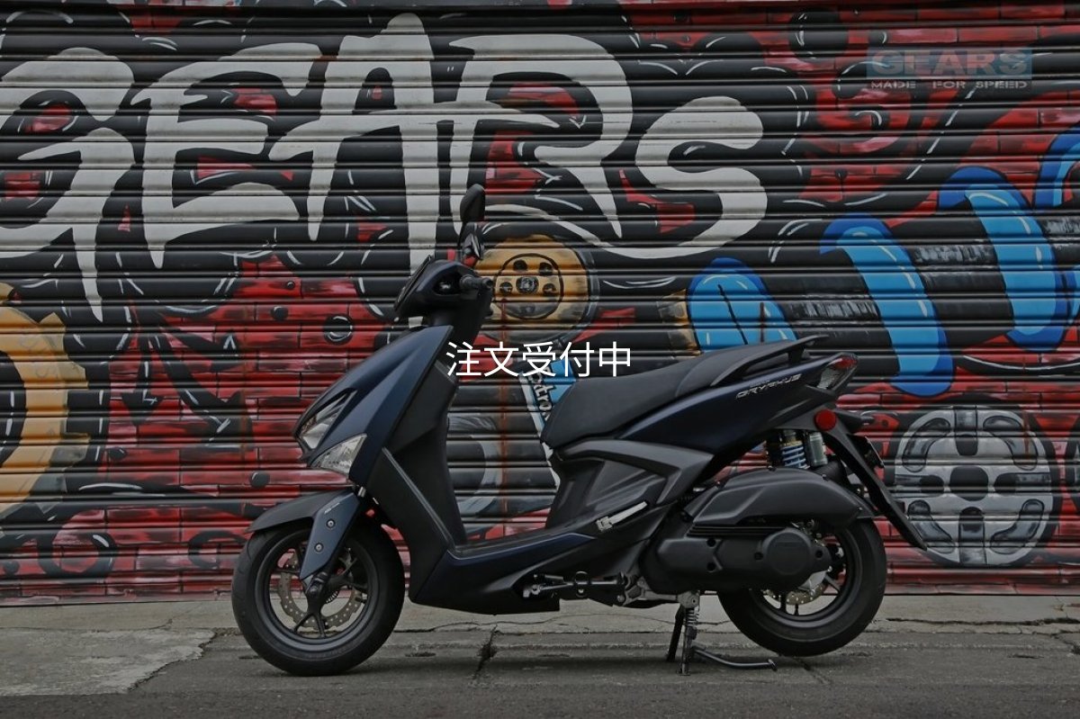 画像9: 🏍 GEARS RACING: ギアーズレーシング H2 リアサスペンション｜シグナス　グリファス対応 🏍 (9)